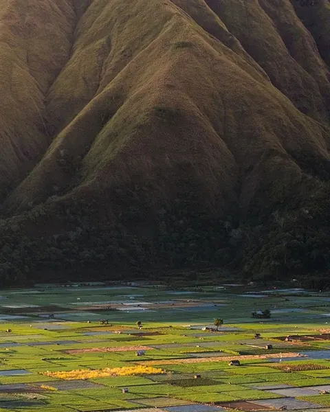 Laderas del monte Rinjani sobre campos de cultivo